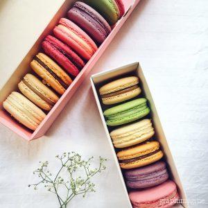 macaron